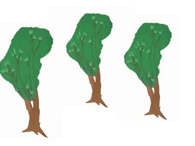 5. Varieer met duurzaam gekweekte planten en bomen