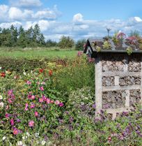 A Groei & Bloei Tienpuntenplan: klimaatvriendelijk tuinieren