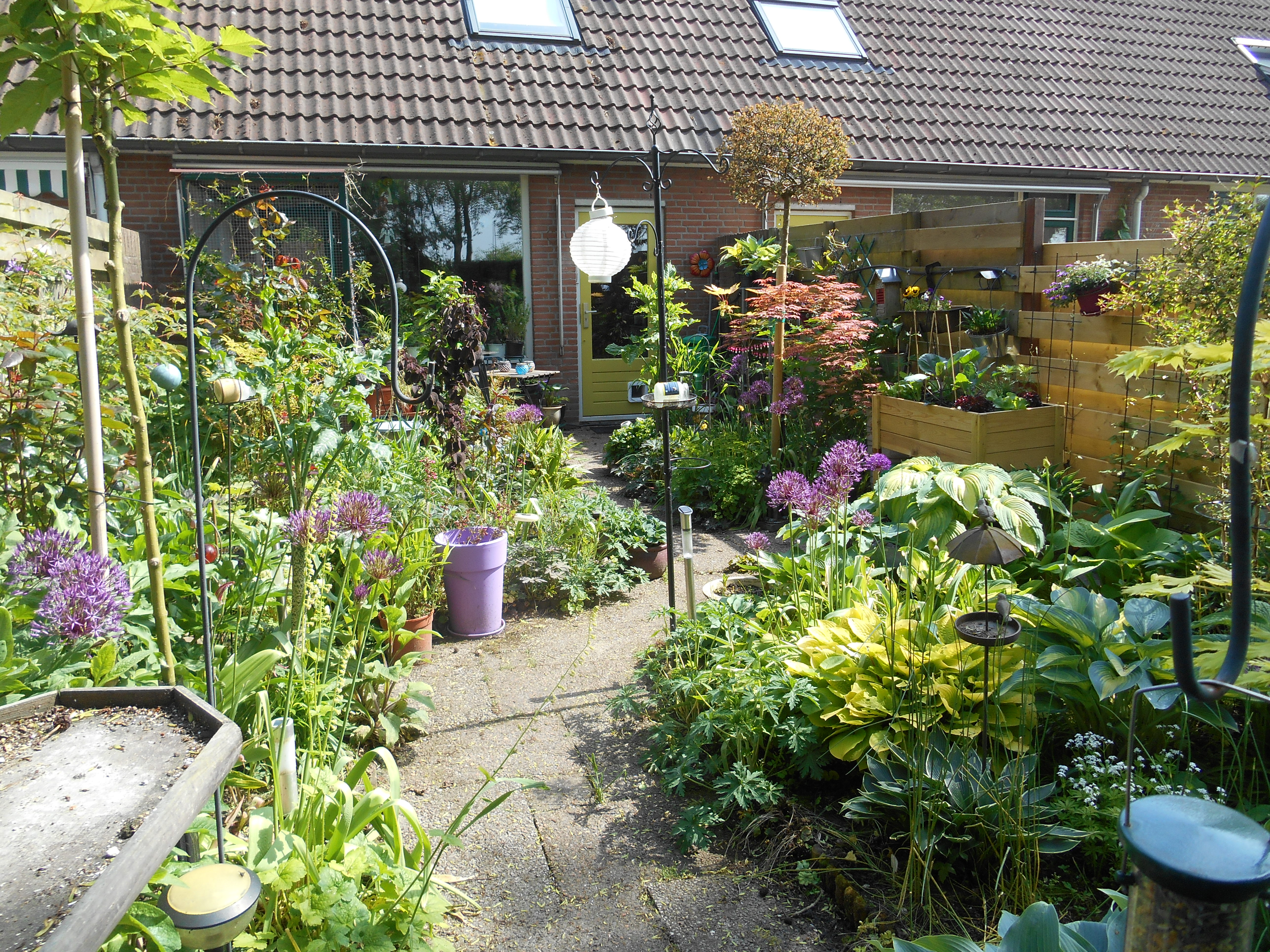 Lieverd, wat vind je van de tuin?