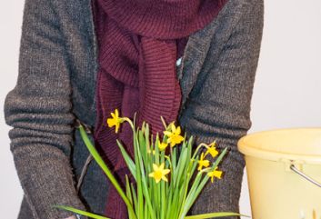 Lente in de winter