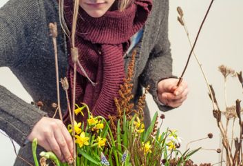 Lente in de winter