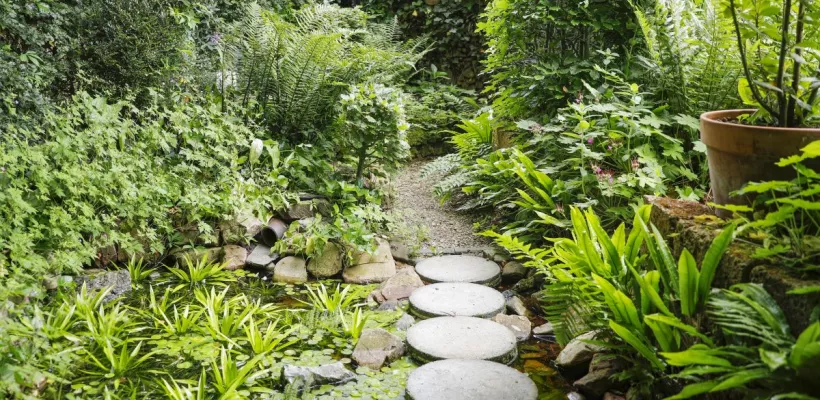 Meest waterbewuste tuin van Nederland ligt in Wijchen