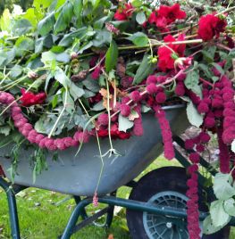 Herfst opruiming
