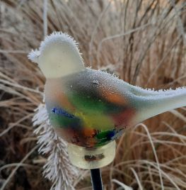 Wintervogel in de tuin