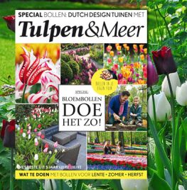 Tulpen & Meer