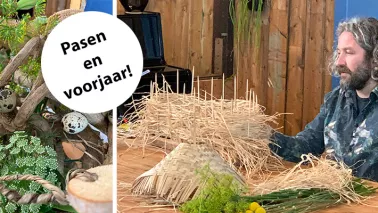 Voorjaar met Pim van den Akker