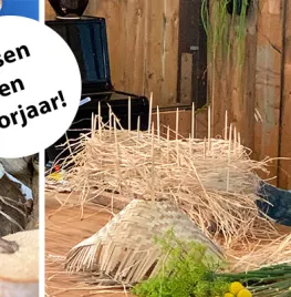 Voorjaar met Pim van den Akker