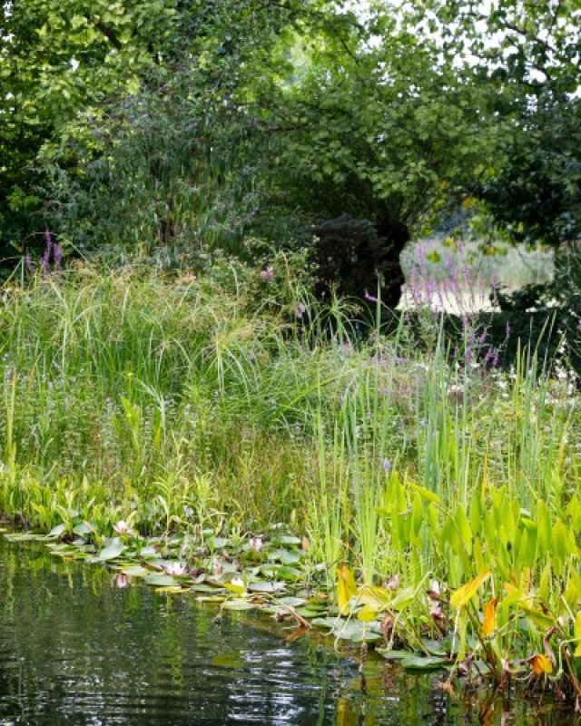 De beste levende tuin: winnaars aan het woord