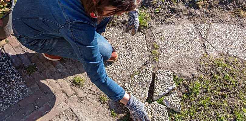 Een hemelwatertuin: zo maak je je tuin klaar voor hoosbuien én droogte