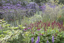 Beplantingsplan voor een vlinderborder