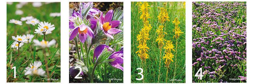 Zaaien op het dak en zaden bestellen