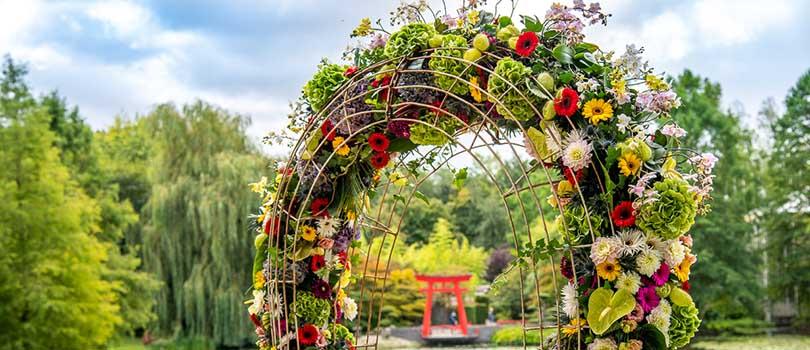Geniet van de nazomer in de tuinen van Kasteeltuinen Arcen