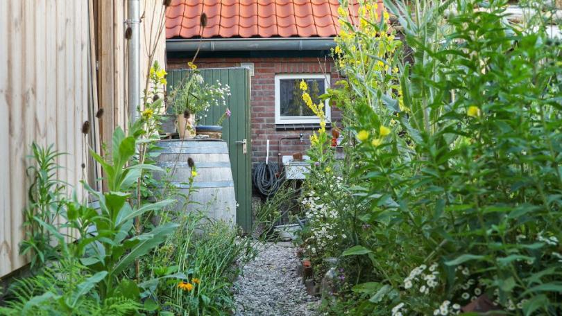 Zo transformeerde Katja in 1,5 jaar tijd haar saaie tuin in een levendige dwaaltuin
