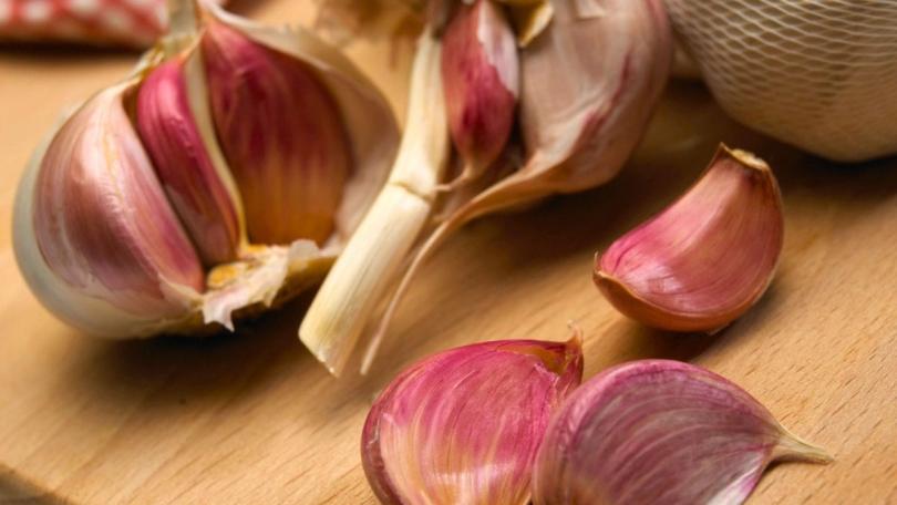 Zelf Spaanse knoflook kweken: begin met de Morado