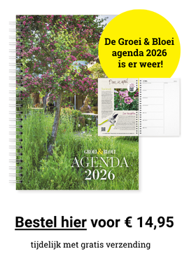 Groei header ad