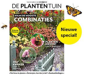 Groei header ad