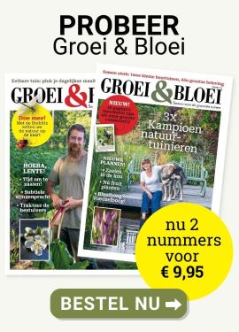 {widget_banner_title}