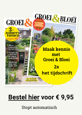 Groei header ad