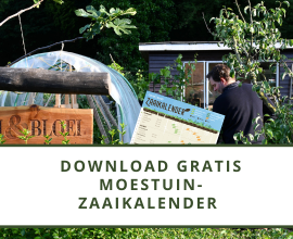 Groei header ad