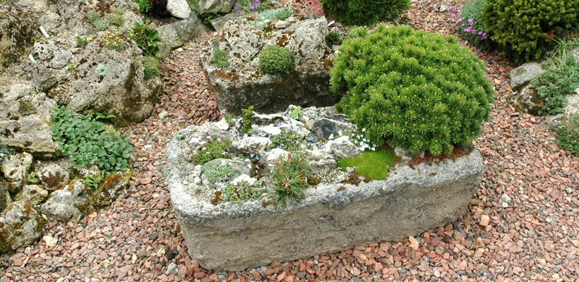 Trog beplanten (video)