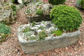 Trog beplanten (video)