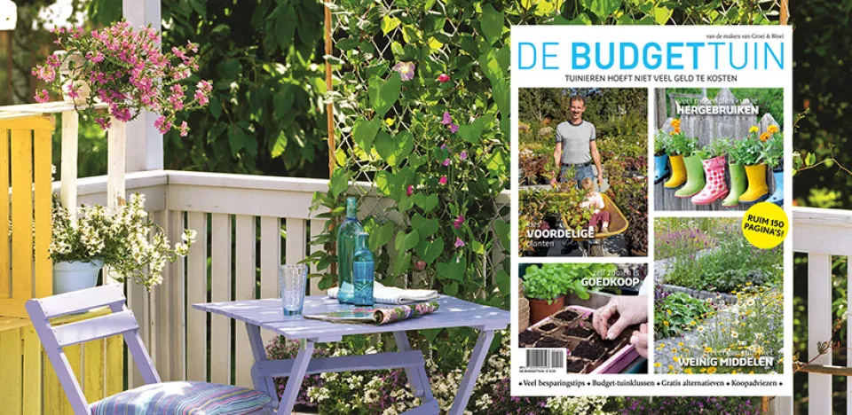 Afbeelding Special De Budgettuin: nu te bestellen