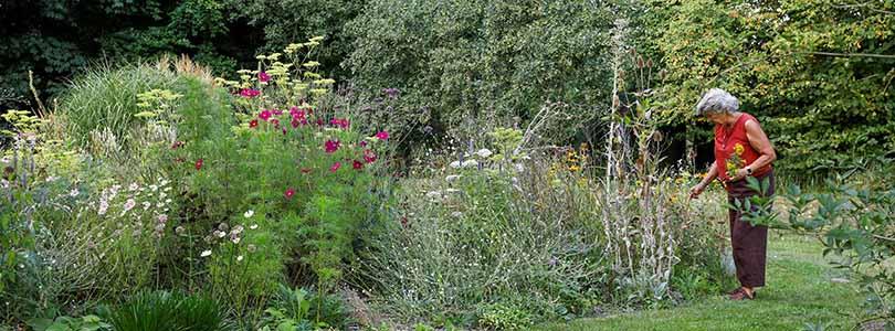 De Beste Levende Tuin van 2025 ligt in Brummen