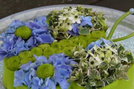 Bloemenvlinder voor groot en klein!