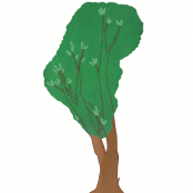 4. Plant een (extra) boom