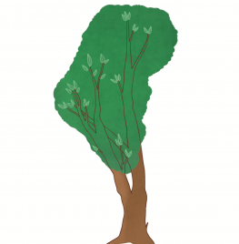 4. Plant een (extra) boom