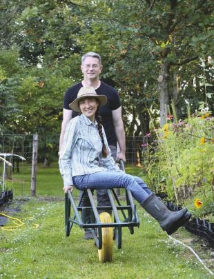 Stokrozen zaaien: de plant kiest straks zelf de plek