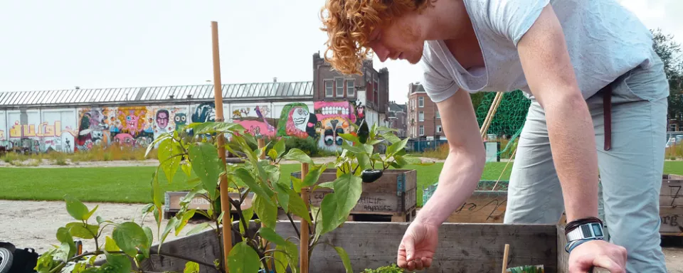 Afbeelding Hoe start je een buurttuin?