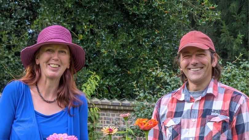 Honderden zinnia’s in één border: John zaait ze allemaal zelf