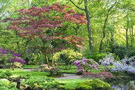 Symboliek in de Japanse tuin in Clingendael