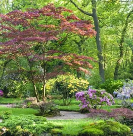 Symboliek in de Japanse tuin in Clingendael