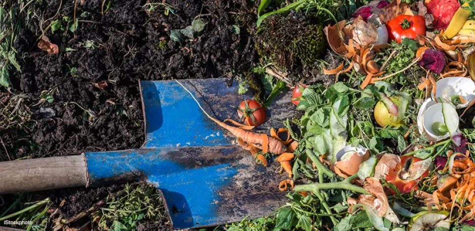 Afbeelding Maak zelf compost: zo werkt composteren in je tuin