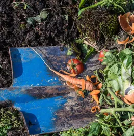Maak je eigen compost