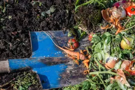 Maak zelf compost: zo werkt composteren in je tuin