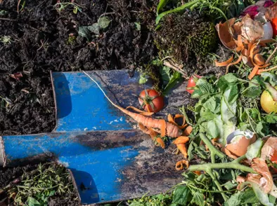 Maak zelf compost: zo werkt composteren in je tuin