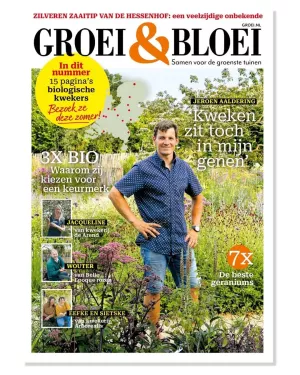 Magazine