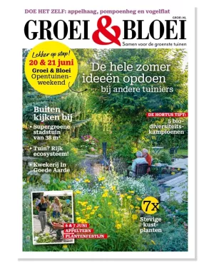 Magazine