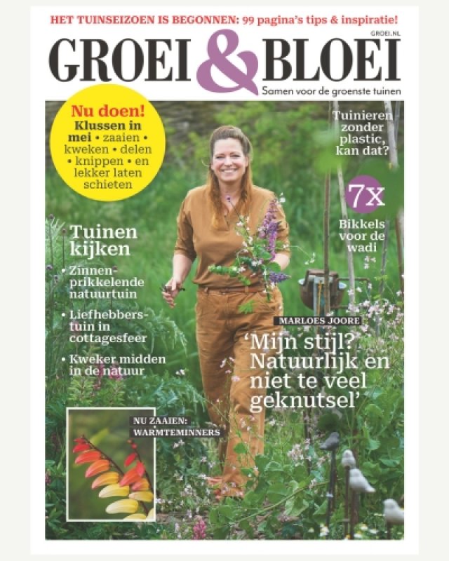 Zelf maken: vrolijk veldboeket voor op tafel