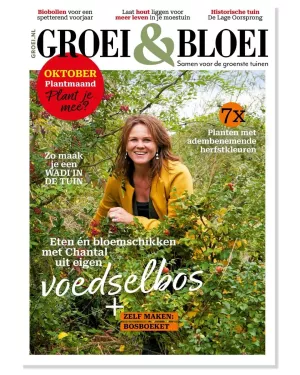 Magazine