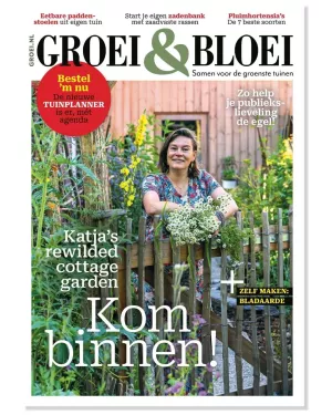 Magazine