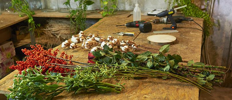 Boomstam met eucalyptusbessen door Dennis Lanzaat (video)