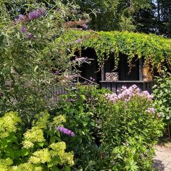 Neem een kijkje in de stadstuinen van Eindhoven