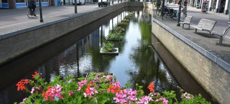 Bekijk de drijvende tuintjes in de Lindegracht in Heerenveen