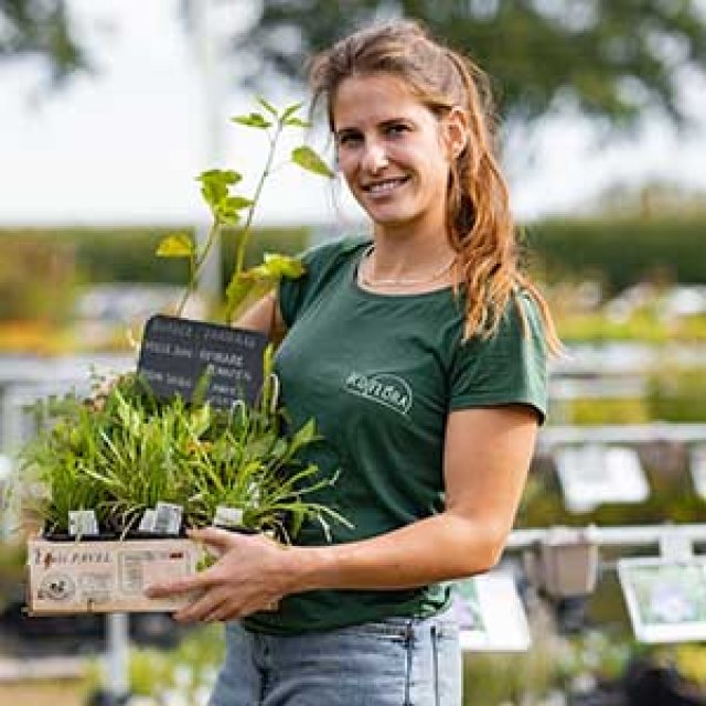 Slakken in de tuin? Kies voor planten die ze liever links laten liggen