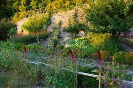 Zomer op kasteel Hex: tuinbaas Gust heeft een truc tegen droogte
