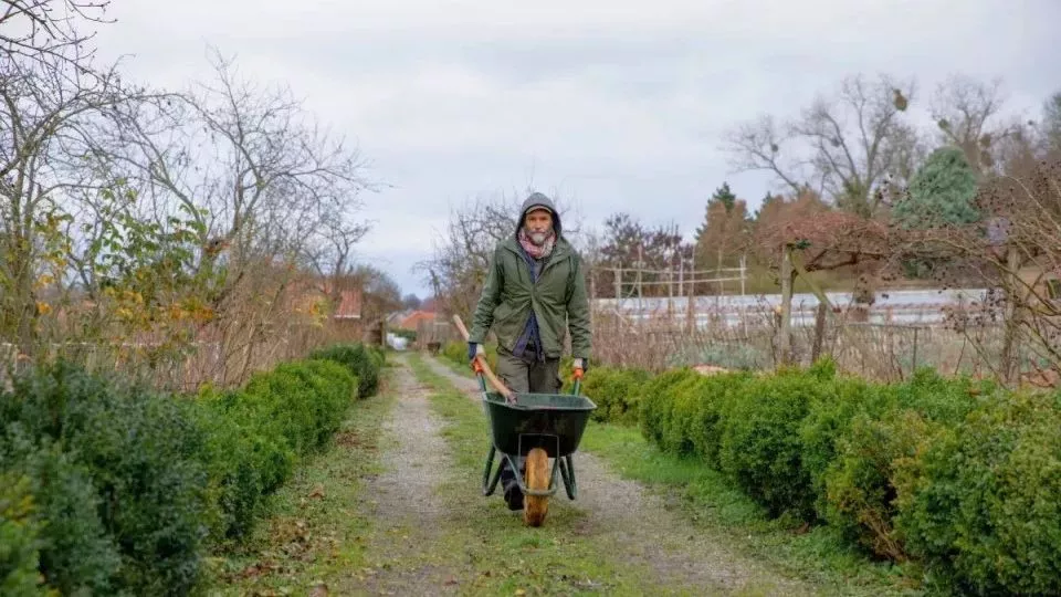 Afbeelding December op kasteel Hex: klimrozen snoeien en zaden bestellen